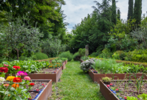 potager
Comment fabriquer un carré potager en matériaux de récupération ?